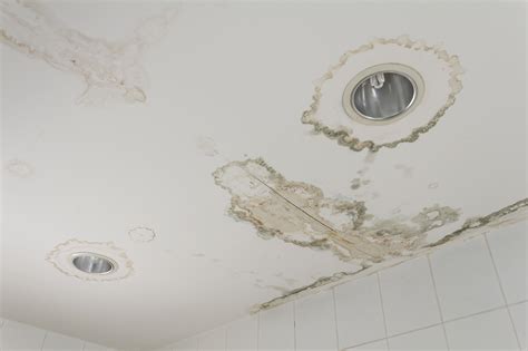 Mystery Solved: The Brown Stain on the Ceiling but。